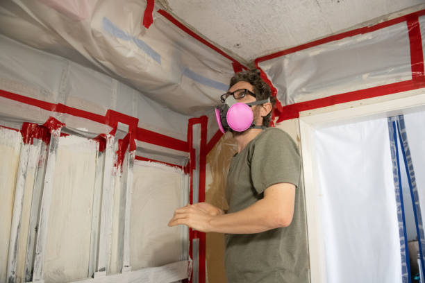  Tyndall, SD Mold Removal Pros