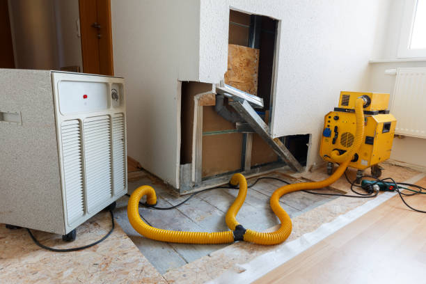 Best Black Mold Removal  in Tyndall, SD