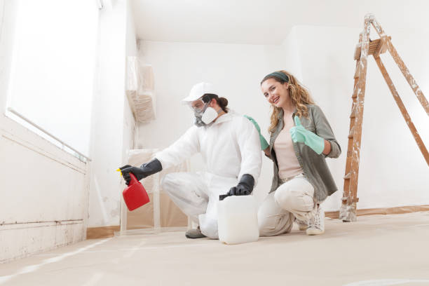 Best Environmental Consulting for Mold Prevention  in Tyndall, SD